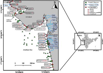 Marine Macrobenthos of NorthWest India-Reviewing the Known and Unknown